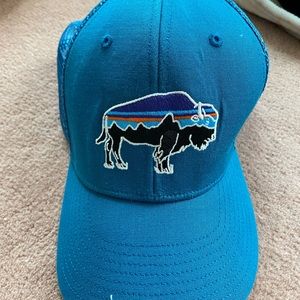 Patagonia Trucker Hat